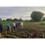 Recorrido por Centro Nacional de Investigación en Frijol en Masatepe