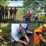 7 mil 400 árboles plantados en sitios de recarga de agua potable