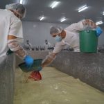 Sistema Nacional de Producción conoce planta procesadora de lácteos, Lactonic