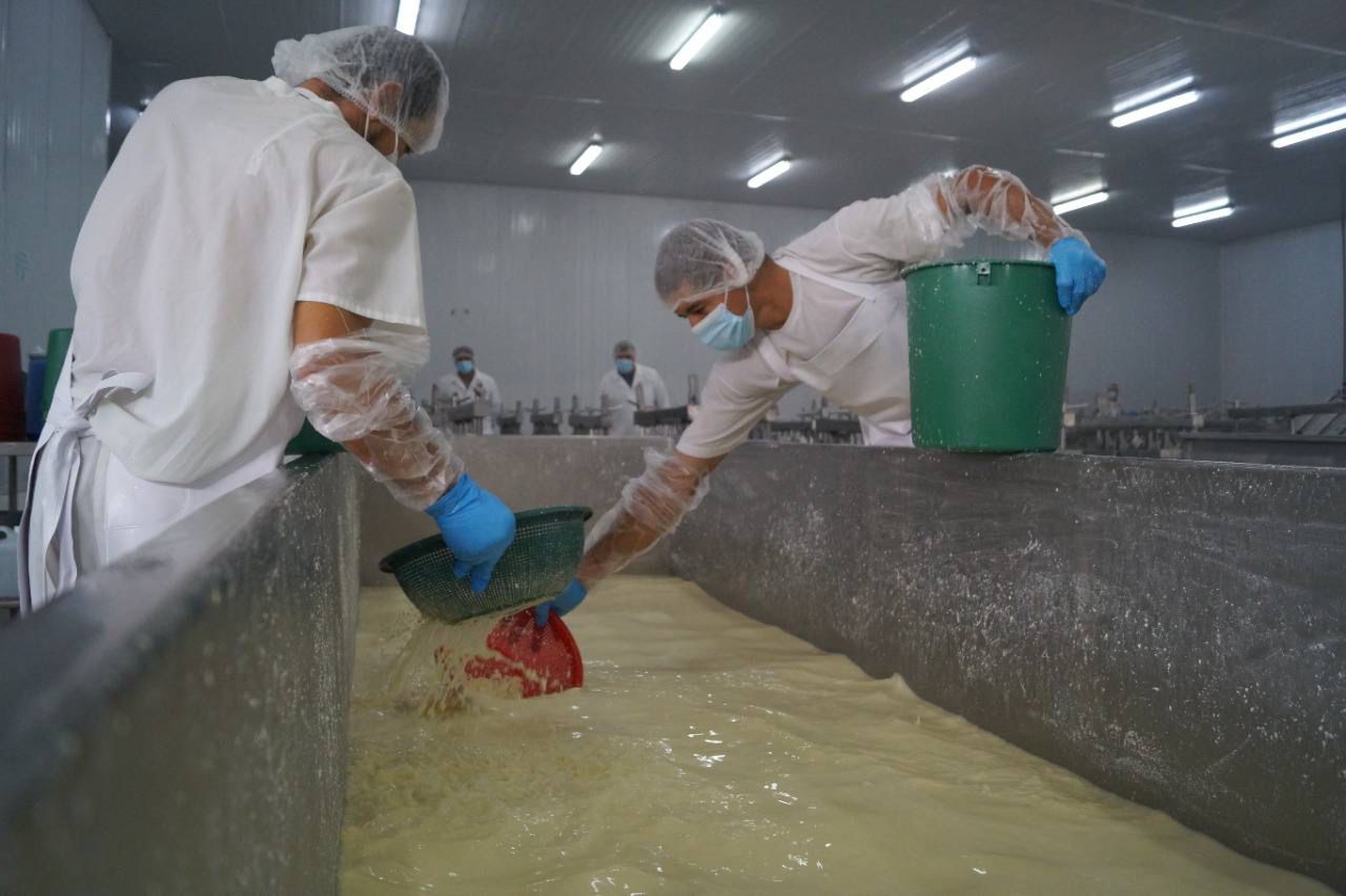 Sistema Nacional de Producción conoce planta procesadora de lácteos, Lactonic