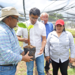 Finca San Felipe plantea incrementar producción de plátano en 2022