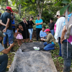Establecen investigación sobre micorrizas en cultivos de cacao