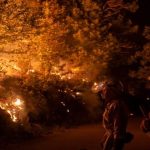 España registra 193 mil 247 hectáreas arrasadas por incendios en 2022