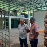 Gobierno visita empresa exportadora de raíces y tubérculos en San Ramón