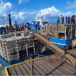 Inicia temporada de pesca de langosta en Nicaragua