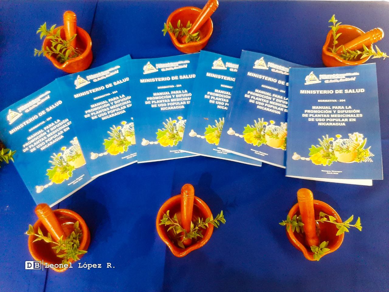 Nicaragua ya cuenta con manual de plantas medicinales de uso popular