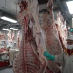 Industrial Comercial San Martín procesa anualmente 200 mil cabezas de ganado