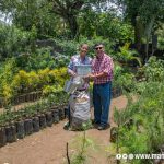 8 jardines destacan por ser los más coloridos y creativos de Managua