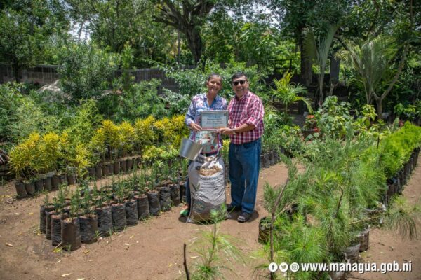 8 jardines destacan por ser los más coloridos y creativos de Managua