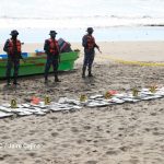 Fuerza Naval intercepta lancha con cocaína