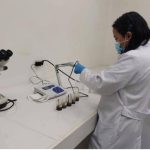 Nicaragua estudia fertilidad de suelos en plantaciones de café