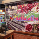 Museo Nacional del Café será reinaugurado