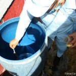 Disminuyen casos de neumonía y malaria en Nicaragua