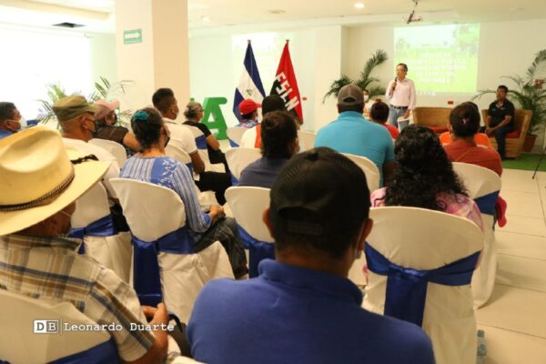 Nicaragua promueve técnicas eficientes para la siembra de pastos