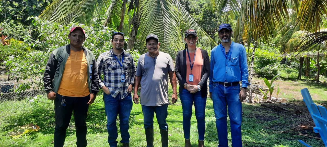 Promueven producción agroecológica en Granada