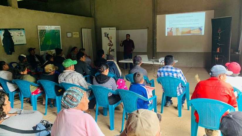 Nicaragua implementa programa de acompañamiento técnico a la familias cafetaleras