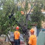 Fiona deja miles de damnificados en República Dominicana