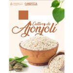 Nicaragua dispone de 20 cartillas para promoción de cultivos con potencial de exportación