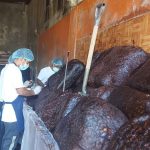 Amerikita y su trabajo con el tamarindo