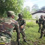 Ejército participa de descargue de plantas forestales