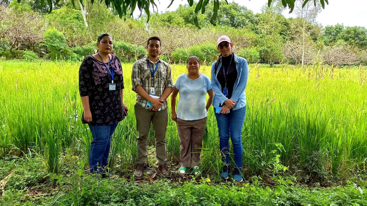 Experiencias de producción agrícola en armonía con la naturaleza de Diriomo