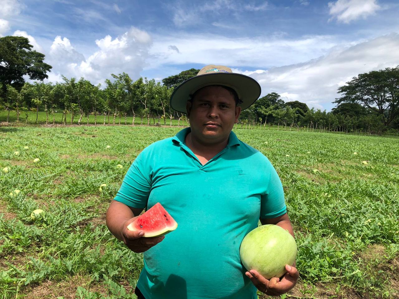 Finca El Porvenir destaca por cosecha anual de 1,2 millones de sandías