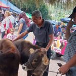 Matagalpa sede de Expo Feria Ganadera