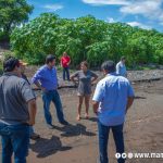 Evalúan afectaciones provocadas por tormenta Julia en Managua