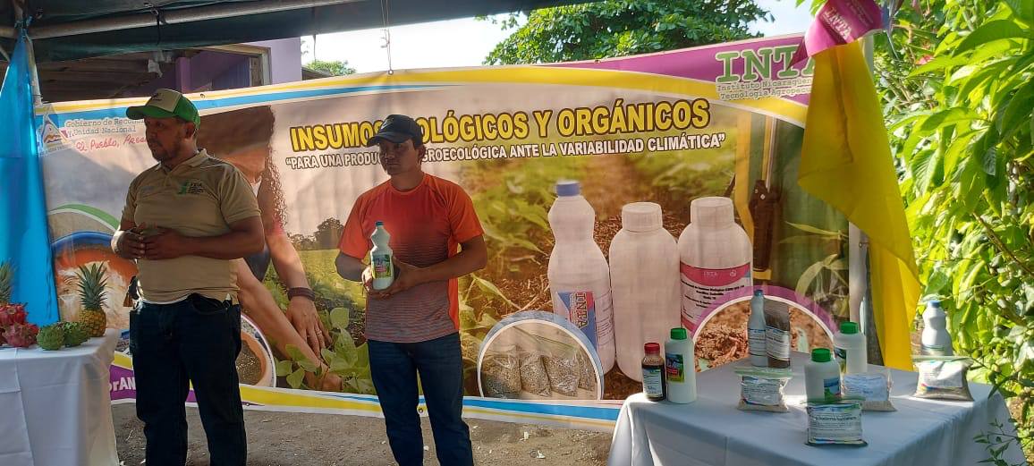 Nicaragua con nuevos insumos biológicos para frutas
