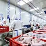 Presidente de Venezuela destaca avances en soberanía alimentaria