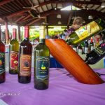 Nicaragua apuesta por diversificar producción de vinos
