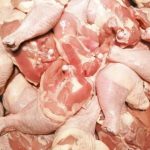 Aumenta producción nacional de carne de pollo en Nicaragua