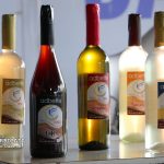 ¿Amante del vino? Feria Nacional se realizará del 4 al 6 de noviembre