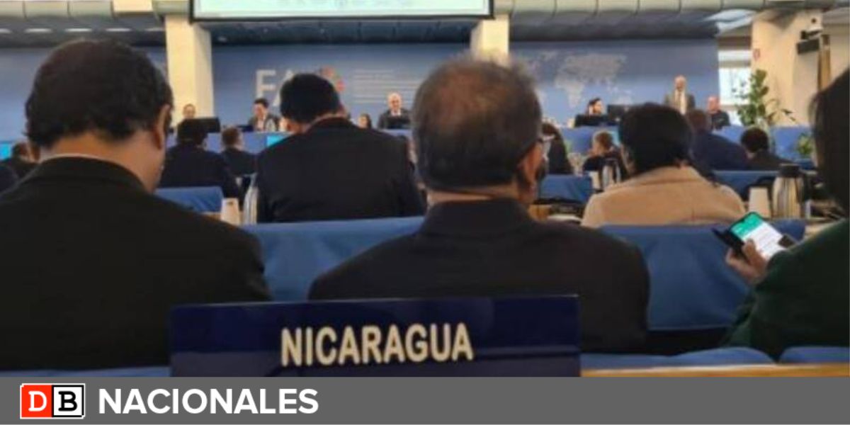 Nicaragua asiste al 171 Período de Sesiones de la FAO