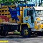 Ejército ocupa equinos en Mulukukú