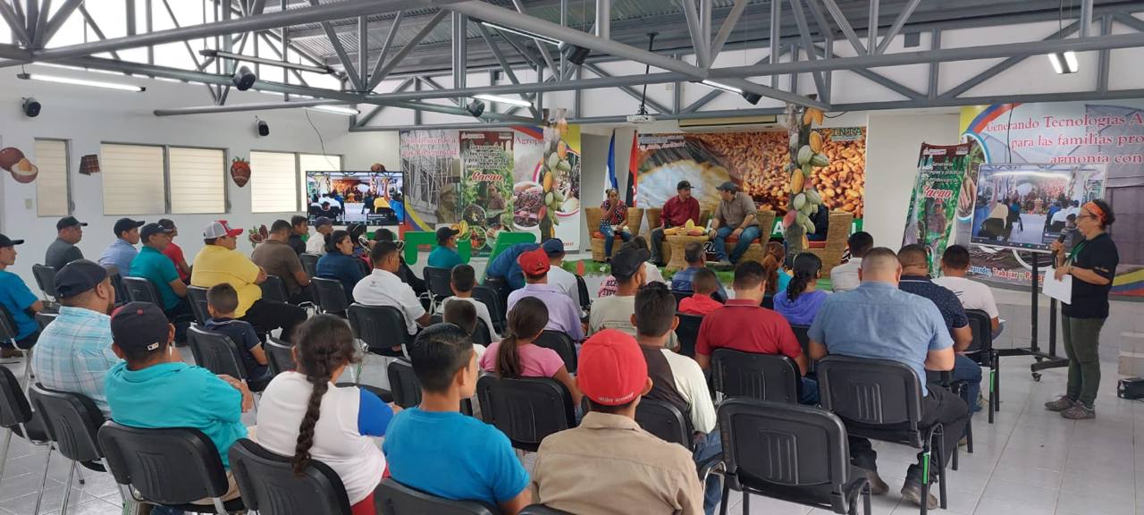 Nicaragua inicia segunda edición de Certamen Nacional de Cacao de la Excelencia