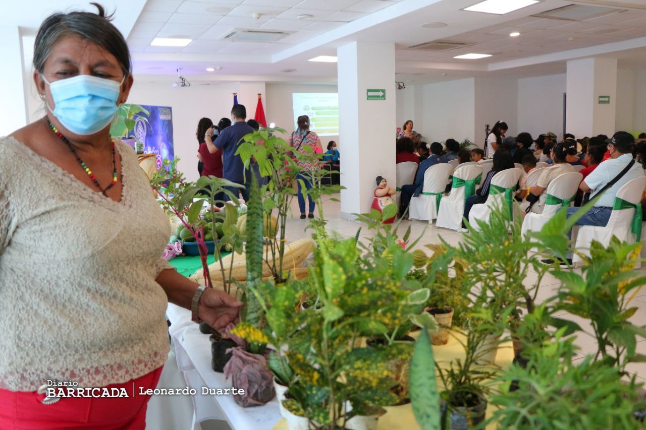 Nicaragua efectuará primera edición del Premio a la Investigación Agropecuaria
