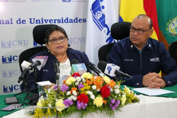 CNU elabora Plan Nacional de Educación Universitaria 2023-2026