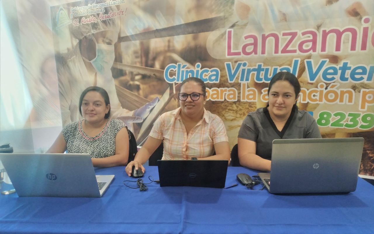 Nicaragua ya posee clínica virtual para la atención porcina