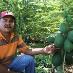 Nicaragua contará con Centros y Fincas de Desarrollo de Tecnologías Agropecuarias 