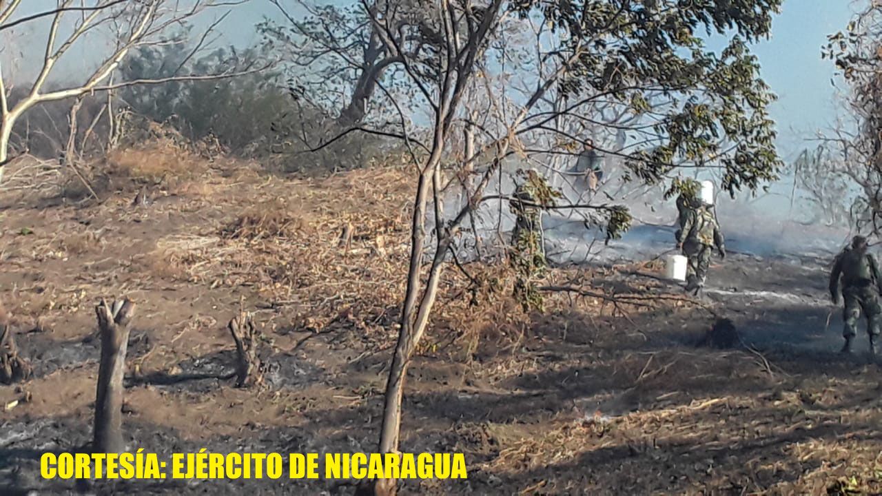 Ejército en sofocación de incendio forestal en la Península de Chiltepe
