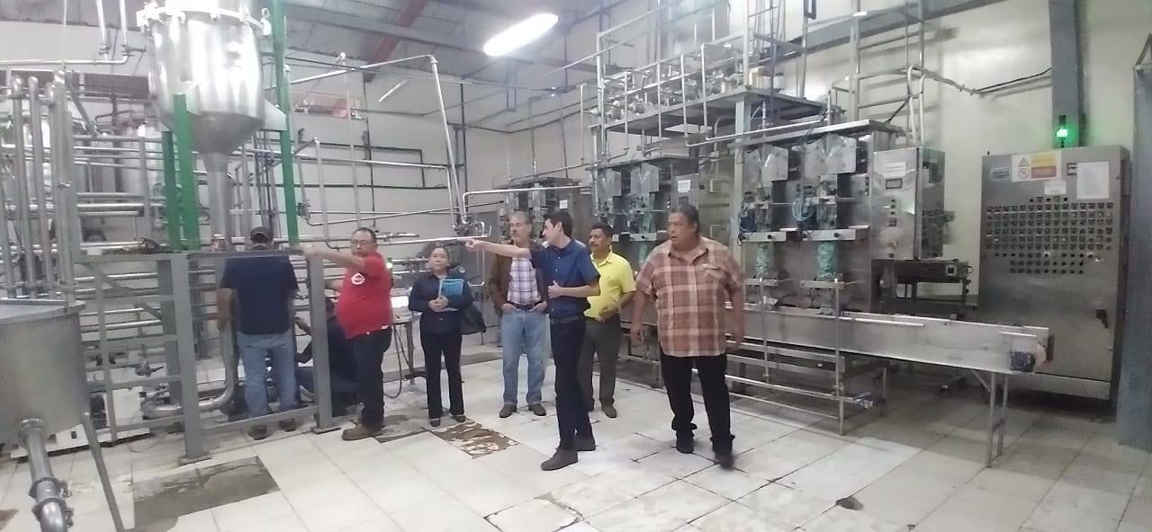 Sol Orgánica S.A. y su sistema de producción ambientalmente sostenible