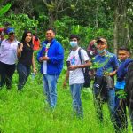 Más de 900 mil árboles se han sembrado en Nicaragua