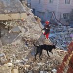 Cifra de muertos a causa del terremoto sobrepasa los 11.000 en Türkiye y Siria