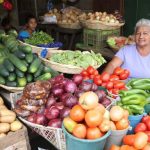 Producción nacional de hortalizas con buenos índices de cosecha