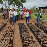 Nuevo vivero en Río San Juan diversifica la siembra en el periodo de invierno