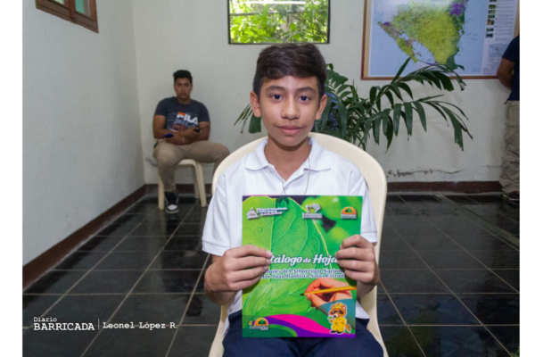 Ya está listo el catálogo de hojas de especies plantadas en el Arboretum Nacional