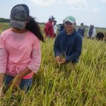 Programa Nacional Vocación Productiva Para el Trabajo y la Vida desarrolla capacidades en jóvenes de Chontales