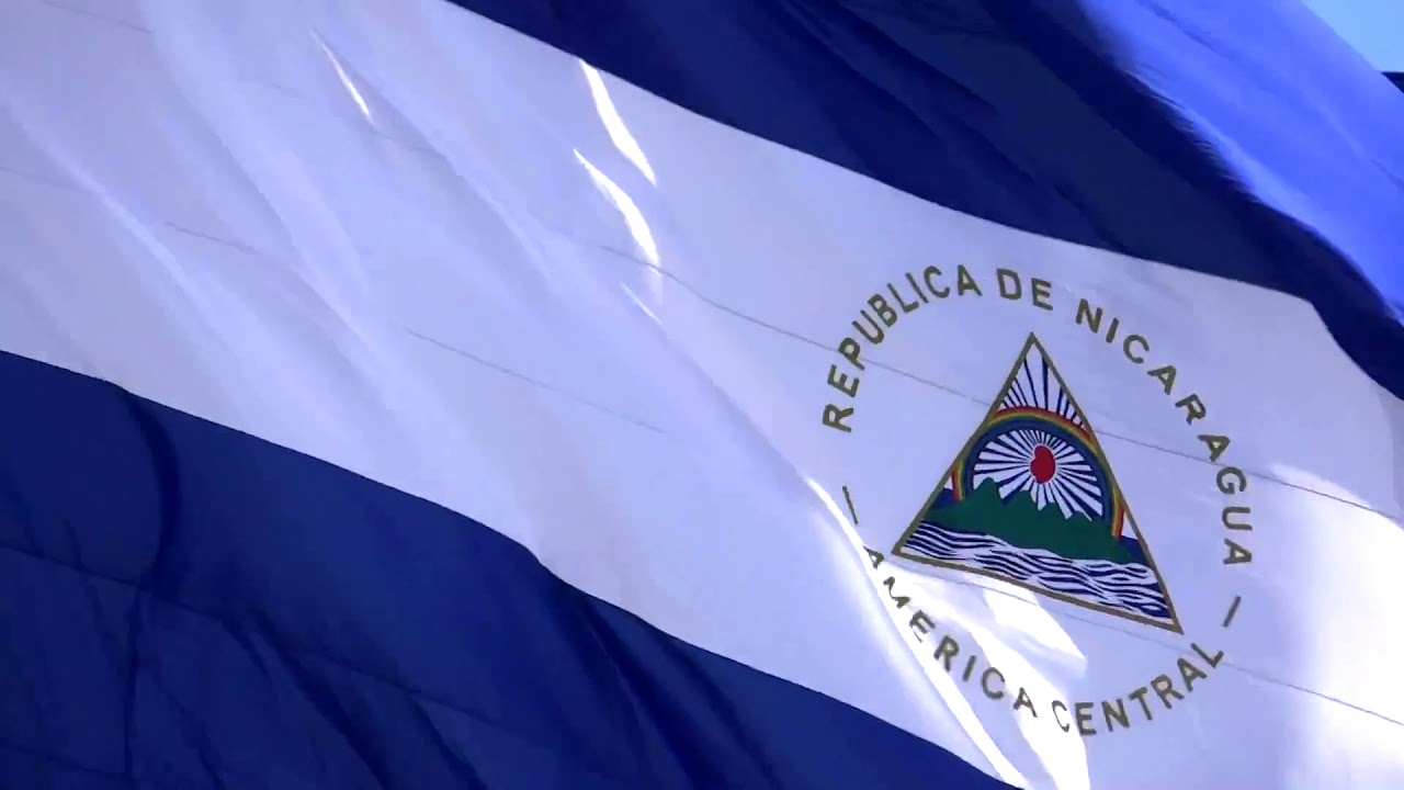 IMPEDIR Y DETENER EL GENOCIDIO EN PALESTINA