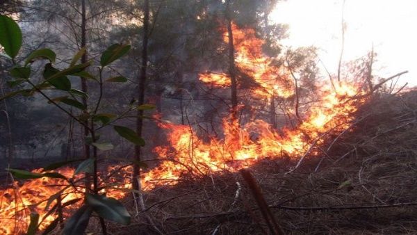 Reportan más de 4 mil hectáreas quemadas por incendio en Cuba